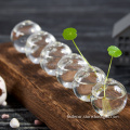 Clear Glass Vase for Home